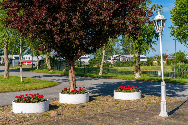 Campingplatser finns på Trelleborg Strand vid Dalabadet och på Skateholms Camping vid Beddingestrand.