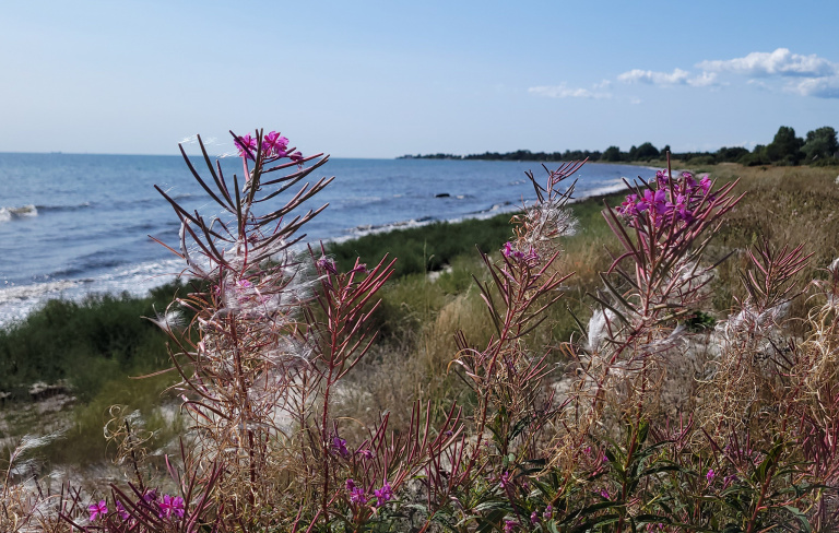 Mål 5 Natur och landsbygd, stranden, beddingestrand,smygehamn