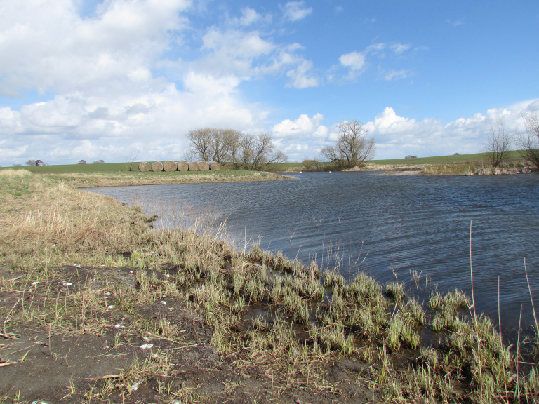 restaurerad våtmark Steglarp