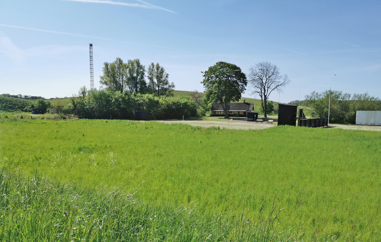 gräs träd himmel aktuellt område