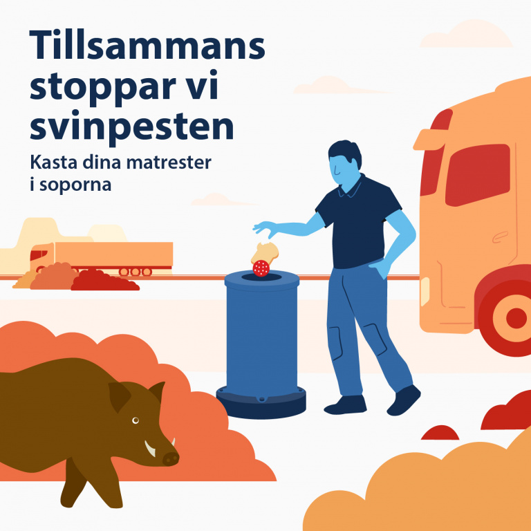 Genom att vara noga med att kasta matrester i soporna och inte i naturen kan vi tillsammans stoppa spridningen av afrikansk svinpest.