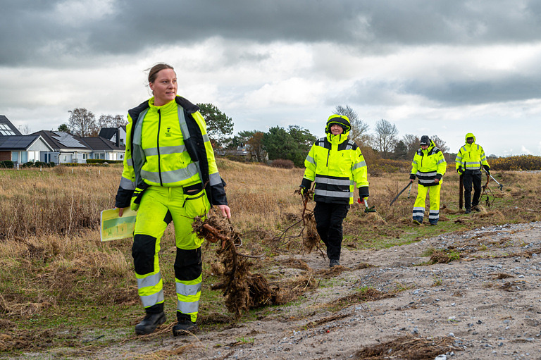 Delar av kommunens strandstädningspatrull: Josefine Grafström. Ingela Eriksson, Gunnel Jepson och Richardo Nkunzimana snyggar upp stränderna efter stormen Babet.