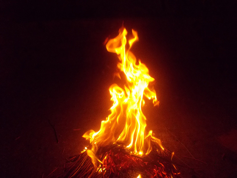 eld brasa