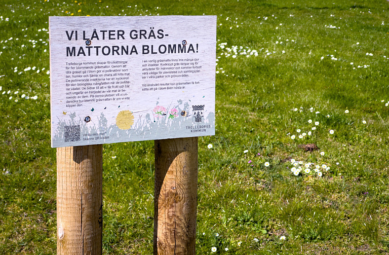 Skylt som förklarar att gräsmattan får gå i blom.
