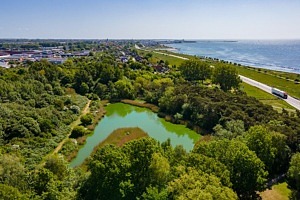 Vy ovanifrån över damm och skog