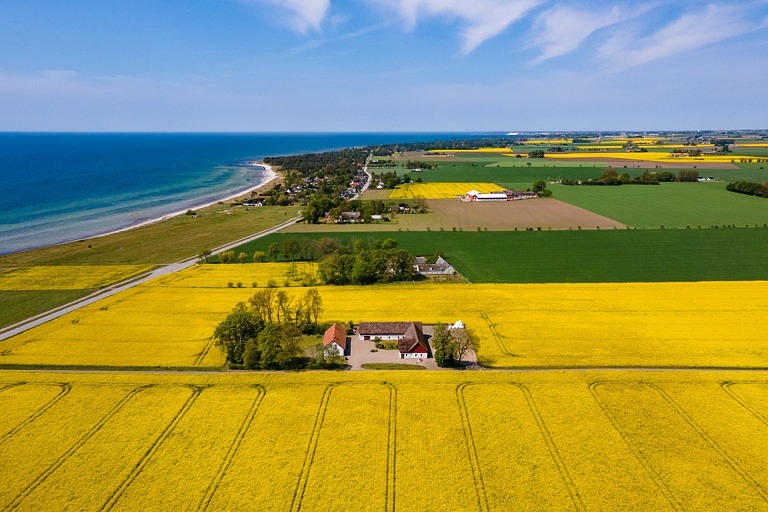 landskap, raps, himmel, hav